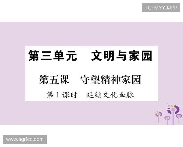 昂热俱乐部发展历程与球队文化精神的深度剖析与未来展望