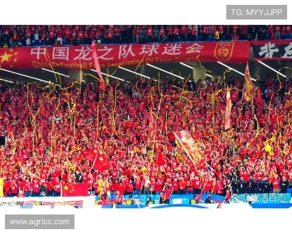 世界杯预选赛亚洲区：中国队逆袭成功迎战韩国，盼冲击晋级名额