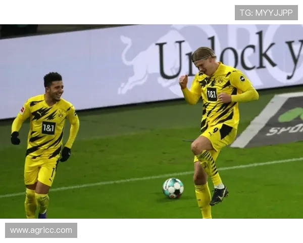 从纺织小镇到德甲劲旅门兴格拉德巴赫的崛起与辉煌历程 从纺织小镇到德甲劲旅门兴格拉德巴赫的崛起与辉煌历程