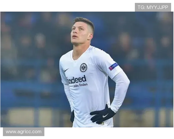 和睦法兰克福俱乐部的崛起与未来发展潜力分析 和睦法兰克福俱乐部的崛起与未来发展潜力分析