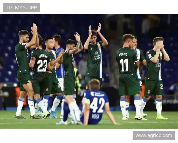 以西班牙人俱乐部为核心探讨球队复兴之路与未来发展战略