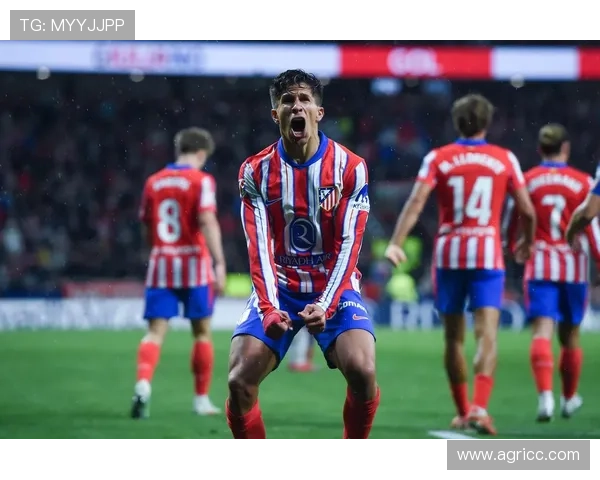 巴拉多利德俱乐部宣布新赛季阵容调整 目标冲击西甲中游位置