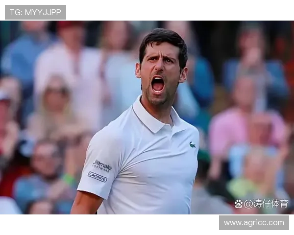 德约科维奇豪取赛季第九冠巩固世界第一位置年轻新星崛起挑战群雄