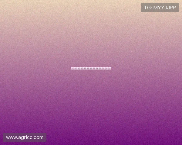 掘金队豪强崛起再度冲击总冠军约基奇率队书写辉煌新篇章