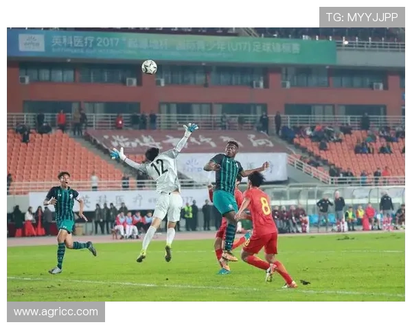 柏林联俱乐部迎来关键转折新援加盟助力球队重振德甲竞争力