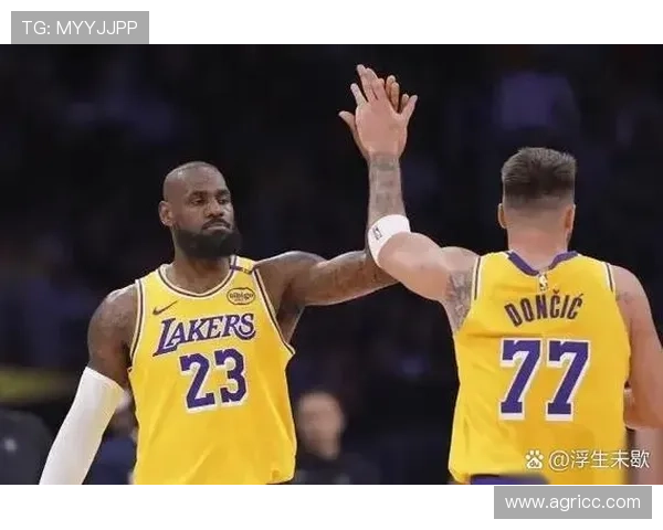 湖人队交易尼克斯球员，引发球迷热议