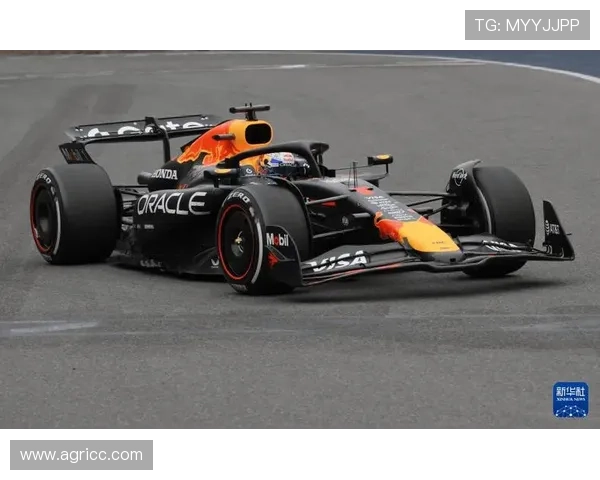 维斯塔潘再创辉煌红牛车队锁定年度冠军新赛季格局或将全面重塑