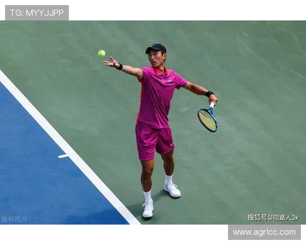 网球赛场风云再起 新星崭露头角 老将力拼荣誉挑战世界顶级对手