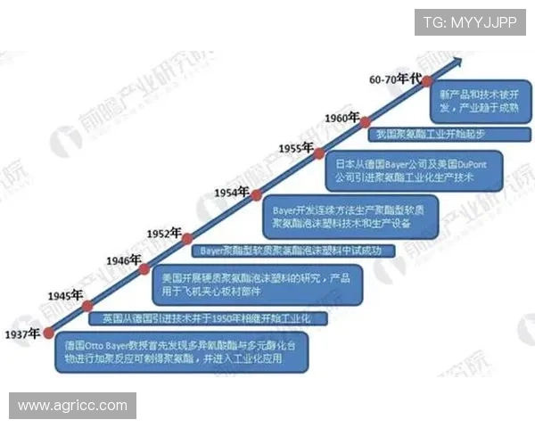 英格兰足球超级联赛发展历程及其全球影响力分析