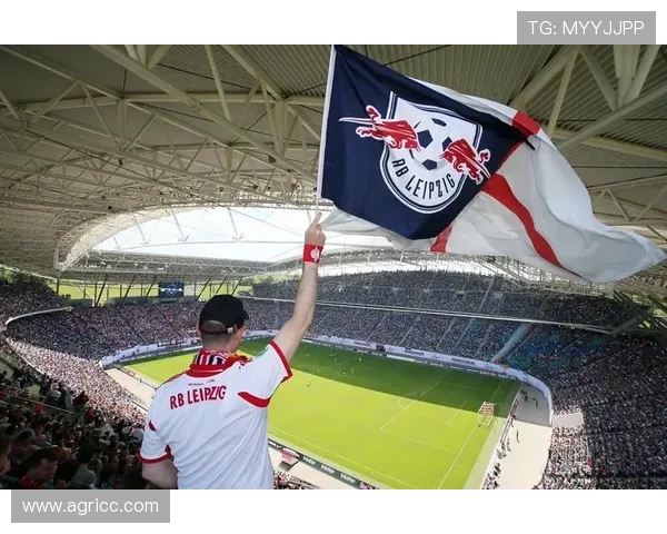 RB莱比锡崛起之路:从升班马到德甲强队的辉煌历程 RB莱比锡崛起之路:从升班马到德甲强队的辉煌历程