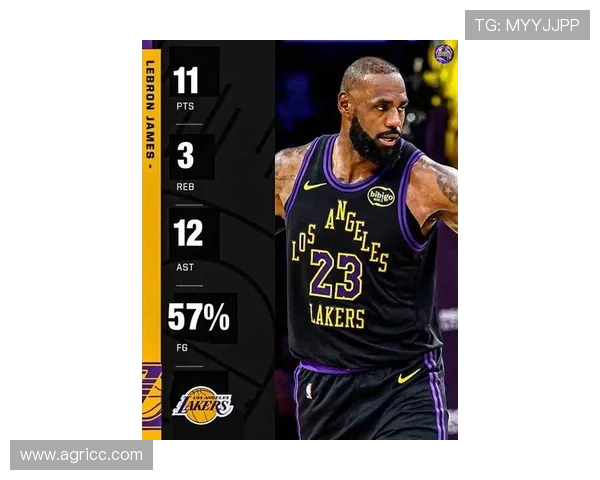 勒布朗詹姆斯重返赛场领衔湖人全新阵容，詹姆斯谈季后赛目标