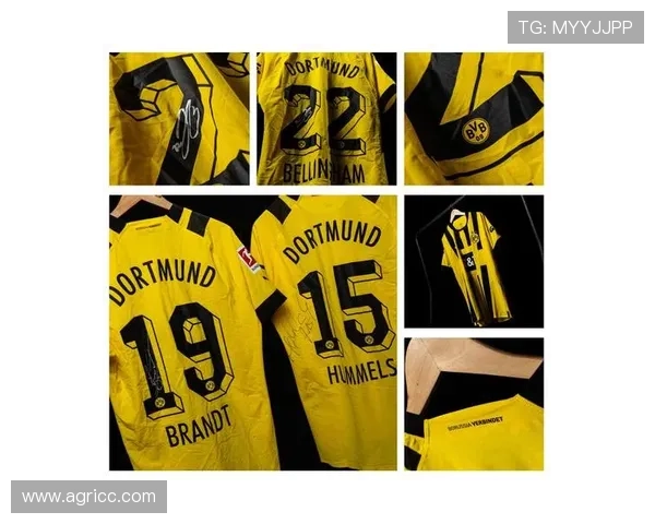 普鲁士多特蒙德足球俱乐部的辉煌历程与未来展望 普鲁士多特蒙德足球俱乐部的辉煌历程与未来展望