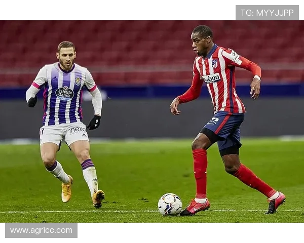 巴拉多利德俱乐部新赛季布局加速青年培养与战绩提升并行全面计划