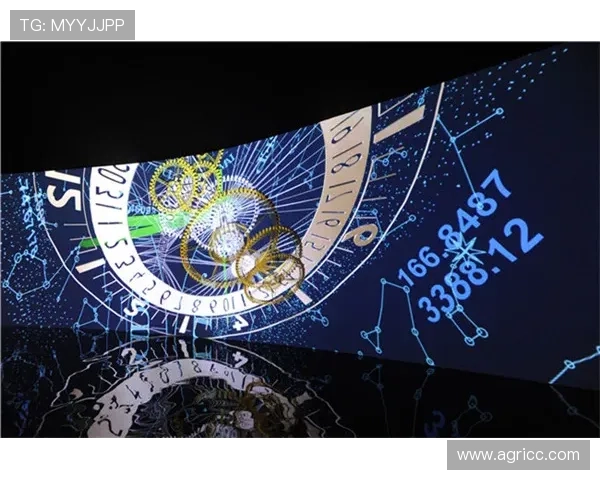 水晶宫俱乐部百年传承与英超赛场崛起与未来蓝图探索全景