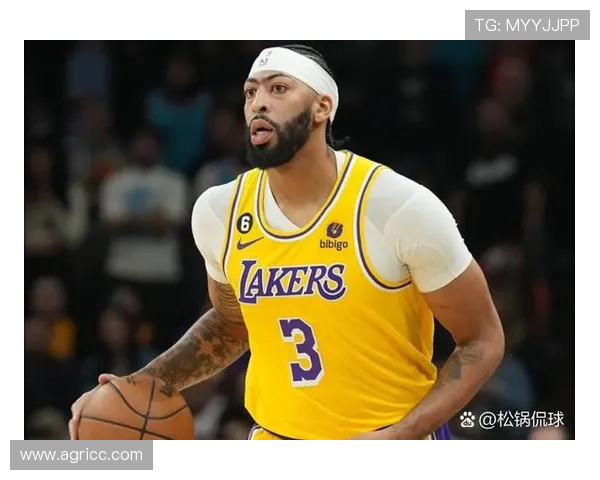 湖人队迎来重磅交易引援,詹姆斯与新援搭档备战新赛季冠军之路 湖人队迎来重磅交易引援,詹姆斯与新援搭档备战新赛季冠军之路