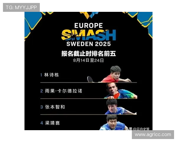 网球赛事激战正酣 世界排名前十选手争锋相对 谁能笑到最后