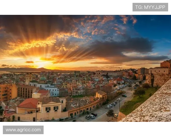 聚焦卡利亚里俱乐部发展历程与未来战略布局及城市文化影响力解读