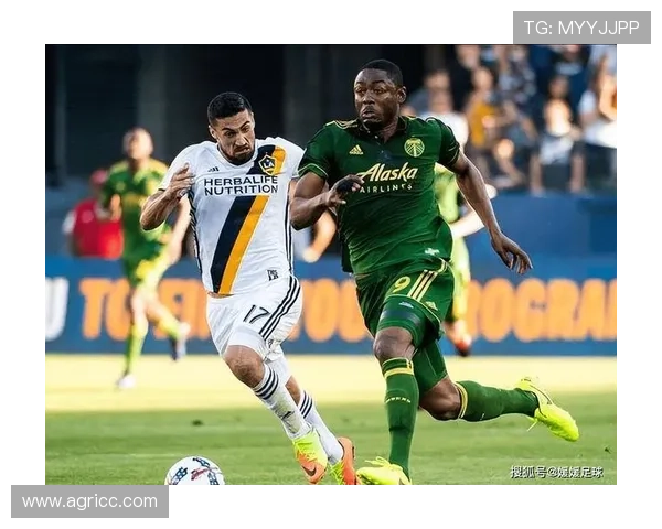 里昂俱乐部崛起记：从足球传统到现代化变革的精彩历程