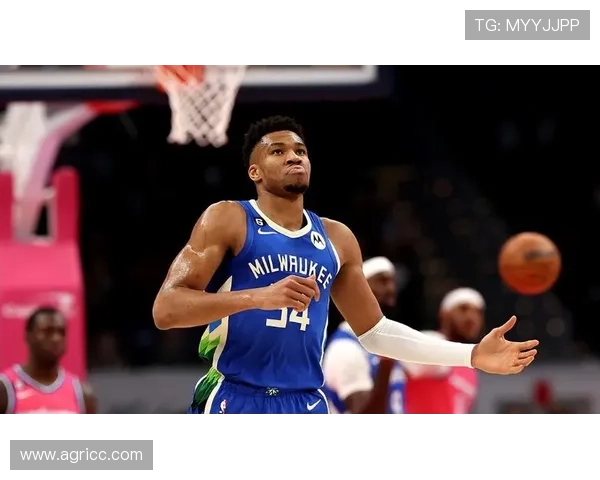 雄鹿队重燃冠军梦想字母哥率队冲击新赛季巅峰荣耀